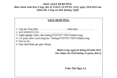 Mẫu giấy đi đường