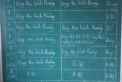 Nội dung công việc trong tuần